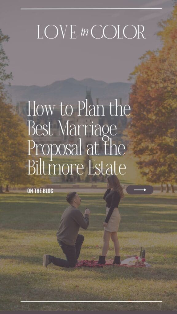 How to Plan the Perfect Marriage Proposal at the Biltmore Estate ; Love in Color Photo and Video ; Asheville NC wedding photographer