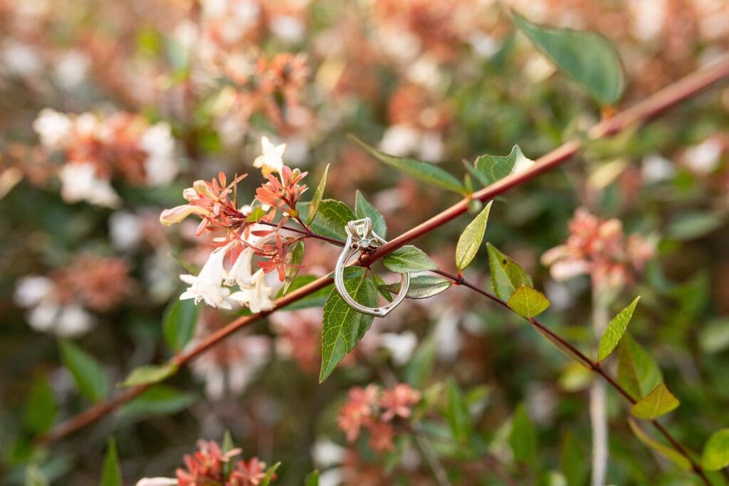 Asheville wedding photographer; Asheville fall weddings; fall wedding color palette; fall wedding florals; Blue Ridge Mountains wedding